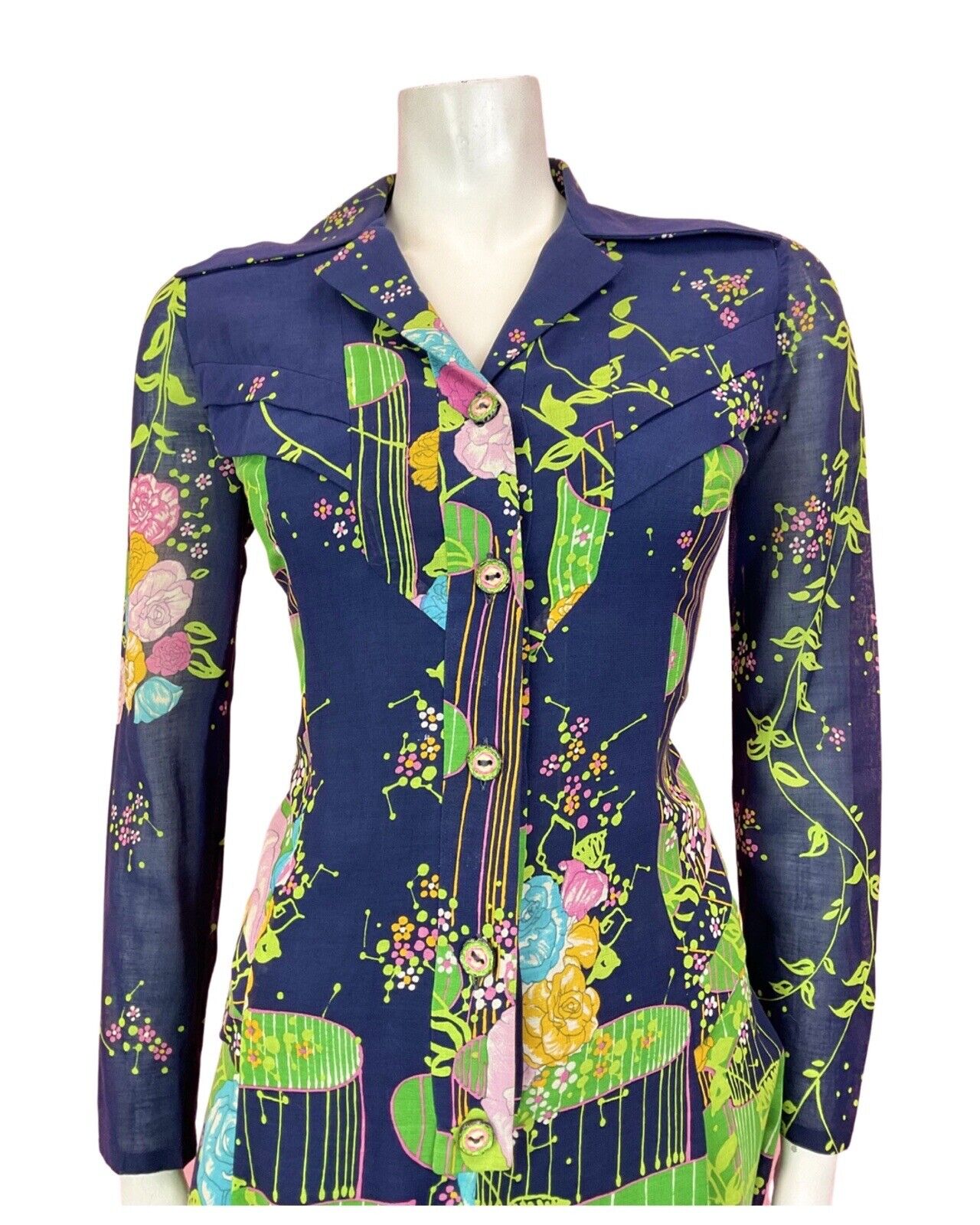 VTG 60s 70s BLUE PINK GREEN FLORAL GARDEN ROSE SHEER DAGGER SHIRT DRESS 10 12